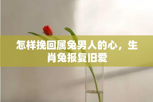 怎样挽回属兔男人的心，生肖兔报复旧爱