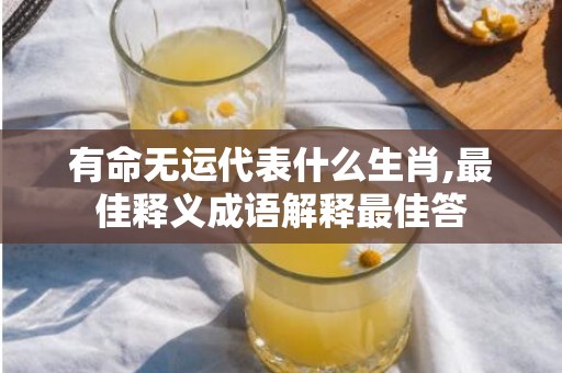 有命无运代表什么生肖,最佳释义成语解释最佳答