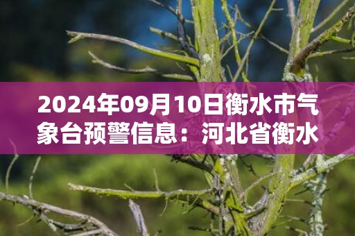 2024年09月10日衡水市气象台预警信息：河北省衡水市更新暴雨蓝色预警