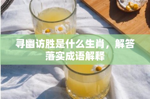 寻幽访胜是什么生肖，解答落实成语解释