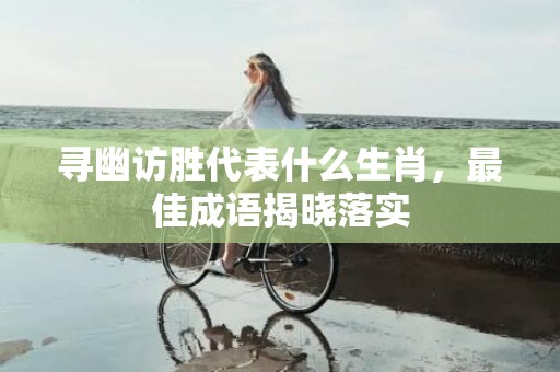 寻幽访胜代表什么生肖，最佳成语揭晓落实