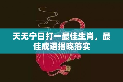 天无宁日打一最佳生肖，最佳成语揭晓落实