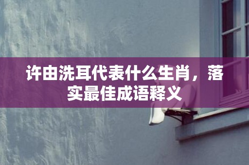 许由洗耳代表什么生肖，落实最佳成语释义