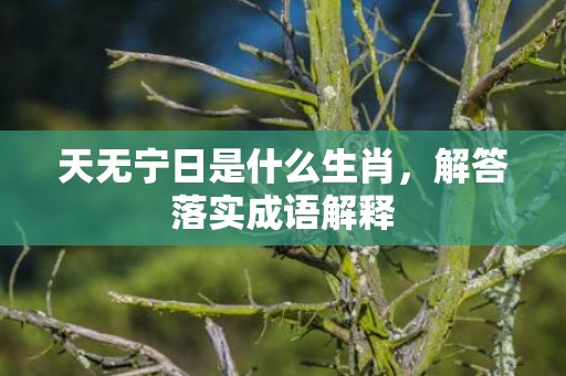 天无宁日是什么生肖，解答落实成语解释