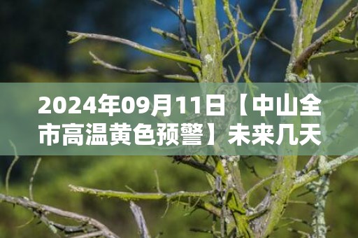 2024年09月11日【中山全市高温黄色预警】未来几天我市天气炎热，最高气温可达35℃左右，中山市气象台预警信息：广东省中山市发布高温黄色预警