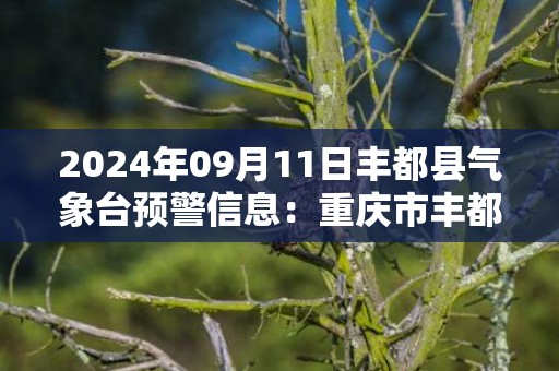 2024年09月11日丰都县气象台预警信息：重庆市丰都县发布高温红色预警