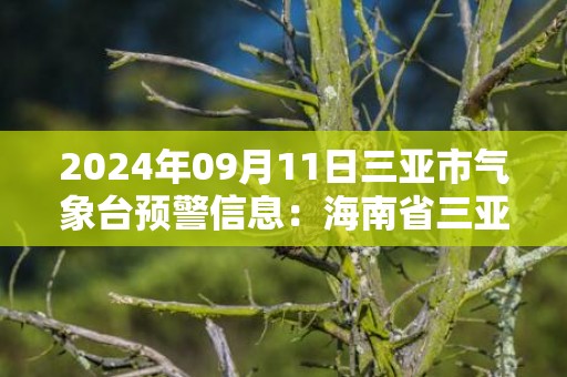 2024年09月11日三亚市气象台预警信息：海南省三亚市发布雷电黄色预警