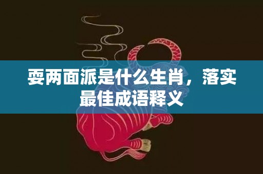 耍两面派是什么生肖，落实最佳成语释义