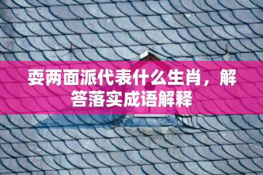 耍两面派代表什么生肖，解答落实成语解释