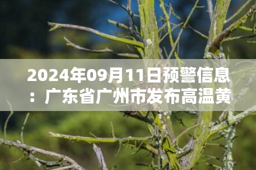 2024年09月11日预警信息：广东省广州市发布高温黄色预警
