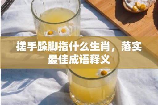 搓手跺脚指什么生肖，落实最佳成语释义