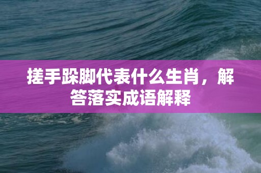 搓手跺脚代表什么生肖，解答落实成语解释