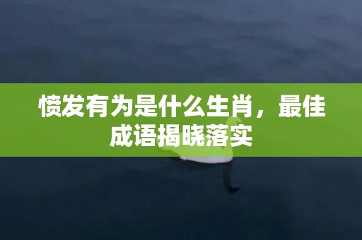 愤发有为是什么生肖，最佳成语揭晓落实