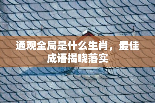 通观全局是什么生肖，最佳成语揭晓落实