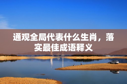 通观全局代表什么生肖，落实最佳成语释义