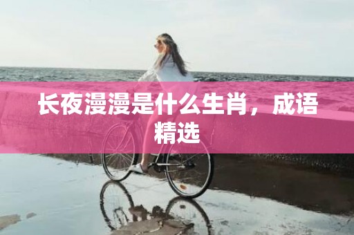 长夜漫漫是什么生肖，成语精选