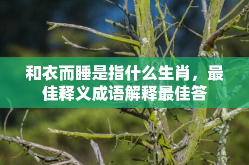 和衣而睡是指什么生肖，最佳释义成语解释最佳答