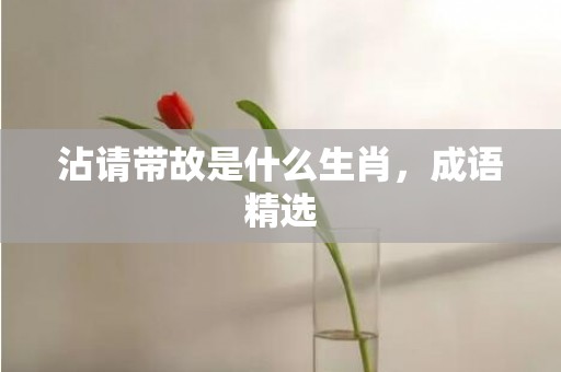 沾请带故是什么生肖，成语精选