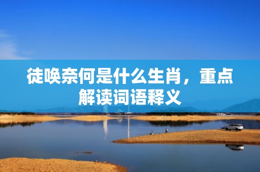 徒唤奈何是什么生肖，重点解读词语释义