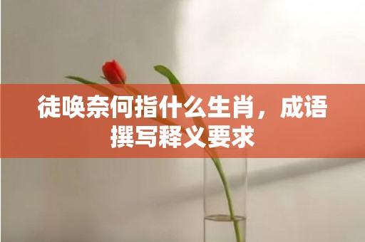 徒唤奈何指什么生肖，成语撰写释义要求
