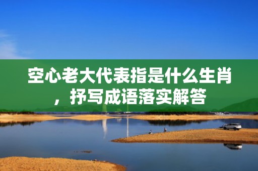 空心老大代表指是什么生肖，抒写成语落实解答