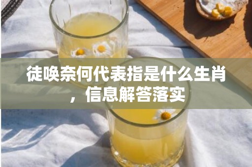 徒唤奈何代表指是什么生肖，信息解答落实