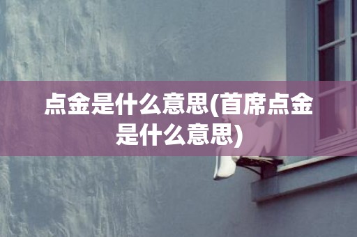 点金是什么意思(首席点金是什么意思)