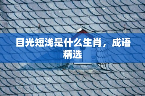 目光短浅是什么生肖，成语精选