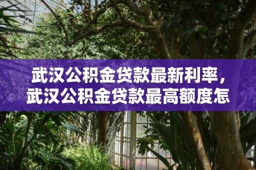 武汉公积金贷款最新利率，武汉公积金贷款最高额度怎么算