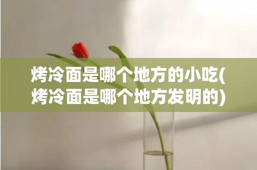 烤冷面是哪个地方的小吃(烤冷面是哪个地方发明的)