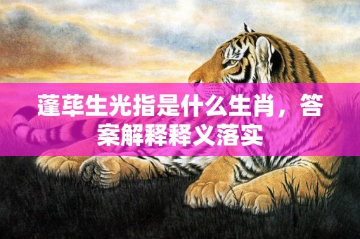 蓬荜生光指是什么生肖，答案解释释义落实