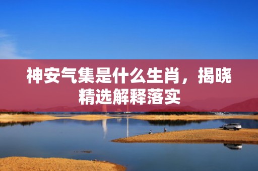神安气集是什么生肖，揭晓精选解释落实