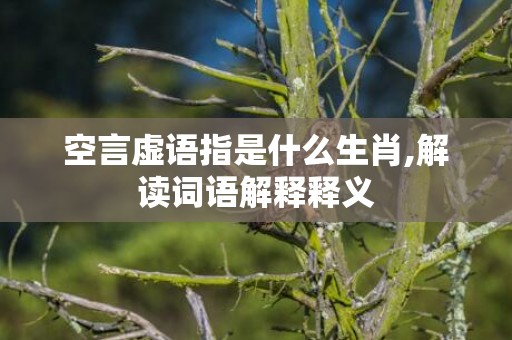 空言虚语指是什么生肖,解读词语解释释义