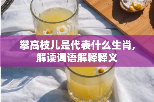 攀高枝儿是代表什么生肖,解读词语解释释义