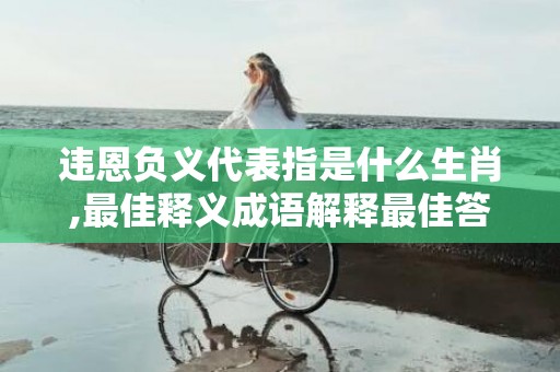 违恩负义代表指是什么生肖,最佳释义成语解释最佳答