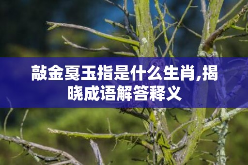 敲金戛玉指是什么生肖,揭晓成语解答释义
