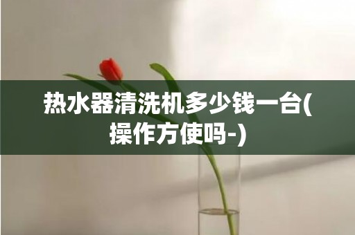 热水器清洗机多少钱一台(操作方使吗-)