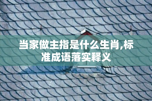 当家做主指是什么生肖,标准成语落实释义