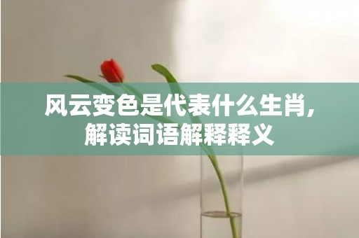 风云变色是代表什么生肖,解读词语解释释义