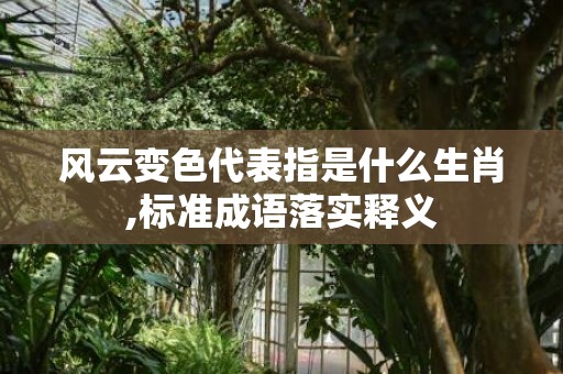 风云变色代表指是什么生肖,标准成语落实释义