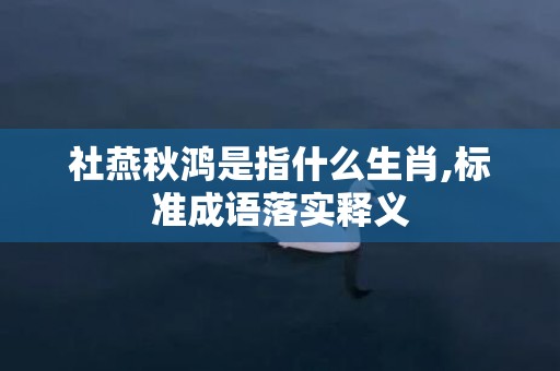 社燕秋鸿是指什么生肖,标准成语落实释义