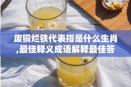 废铜烂铁代表指是什么生肖,最佳释义成语解释最佳答