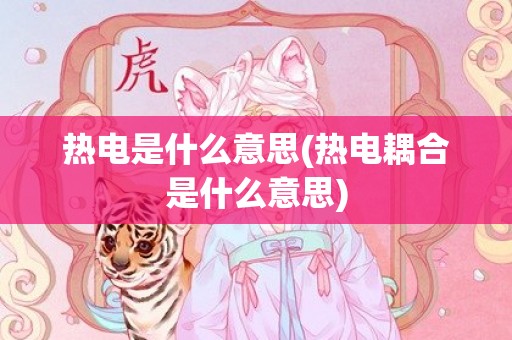 热电是什么意思(热电耦合是什么意思)
