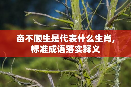 奋不顾生是代表什么生肖,标准成语落实释义