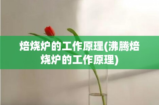 焙烧炉的工作原理(沸腾焙烧炉的工作原理)