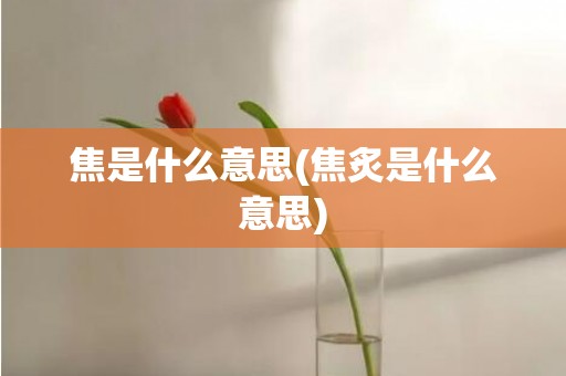 焦是什么意思(焦炙是什么意思)