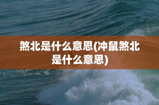 煞北是什么意思(冲鼠煞北是什么意思)