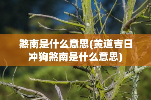 煞南是什么意思(黄道吉日冲狗煞南是什么意思)