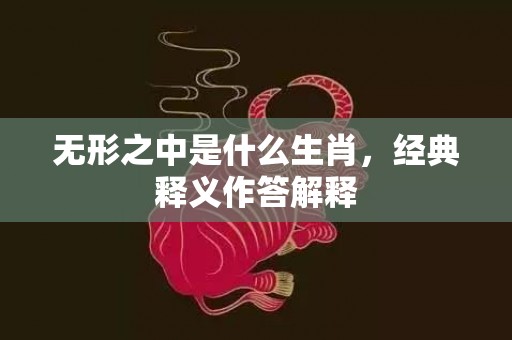 无形之中是什么生肖，经典释义作答解释