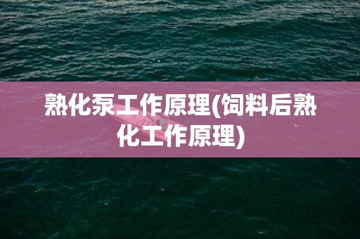 熟化泵工作原理(饲料后熟化工作原理)